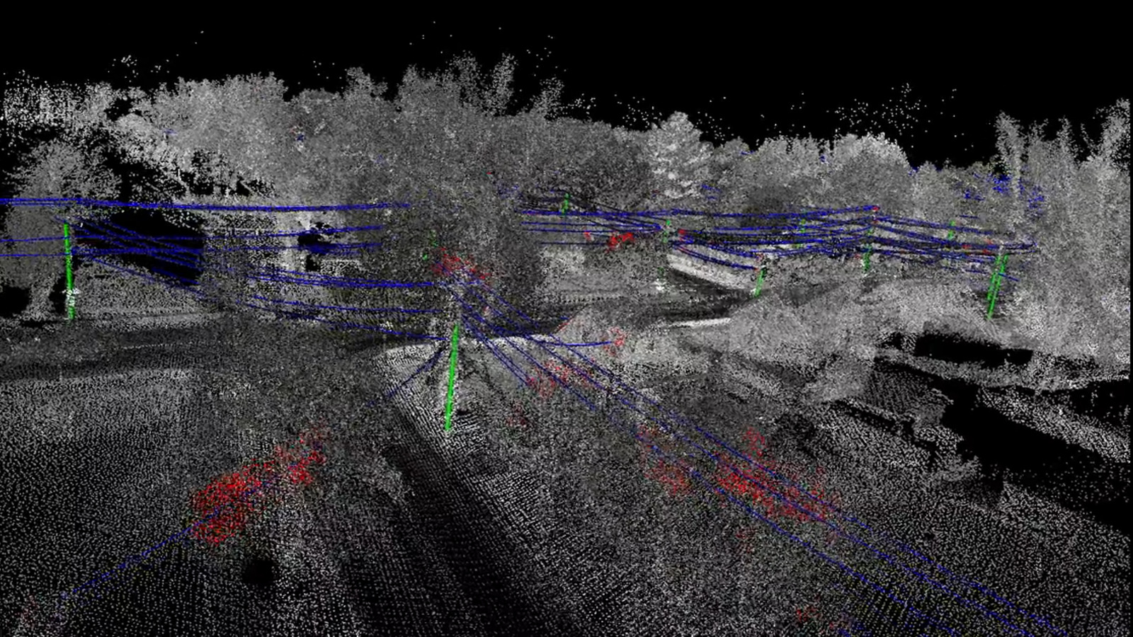 powerlines and vegetation management image